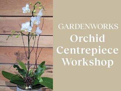 Discover a world of outdoor activities at GARDENWORKS. From gardening workshops to community events, there's something for everyone. Explore now!