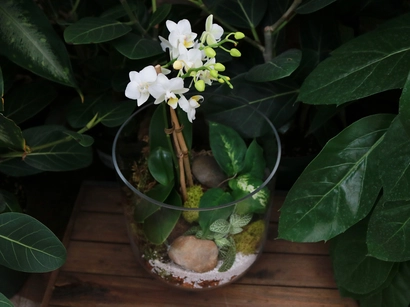 Discover a world of outdoor activities at GARDENWORKS. From gardening workshops to community events, there's something for everyone. Explore now!