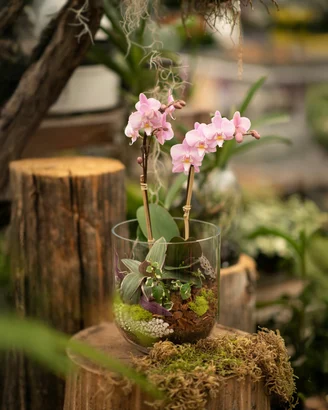 Discover a world of outdoor activities at GARDENWORKS. From gardening workshops to community events, there's something for everyone. Explore now!