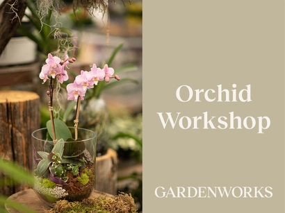 Discover a world of outdoor activities at GARDENWORKS. From gardening workshops to community events, there's something for everyone. Explore now!