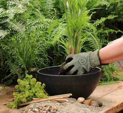 Discover a world of outdoor activities at GARDENWORKS. From gardening workshops to community events, there's something for everyone. Explore now!