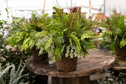 Discover a world of outdoor activities at GARDENWORKS. From gardening workshops to community events, there's something for everyone. Explore now!