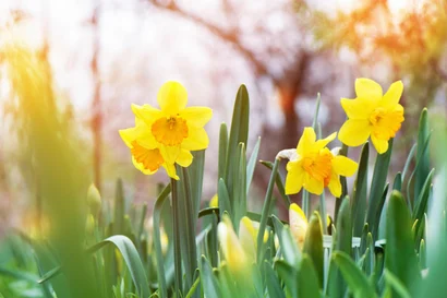 Discover a world of outdoor activities at GARDENWORKS. From gardening workshops to community events, there's something for everyone. Explore now!