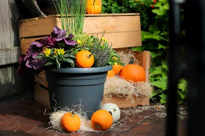 Seasons Change Fall Planter Workshop