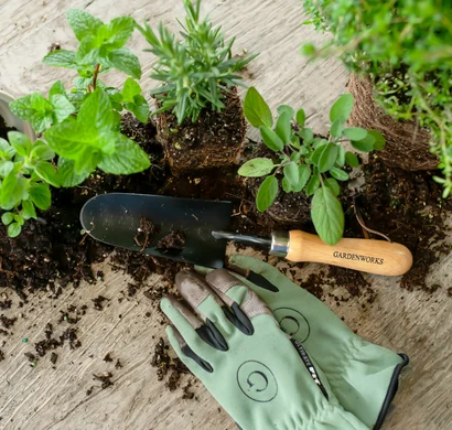 Discover a world of outdoor activities at GARDENWORKS. From gardening workshops to community events, there's something for everyone. Explore now!