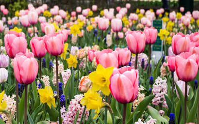 Discover a world of outdoor activities at GARDENWORKS. From gardening workshops to community events, there's something for everyone. Explore now!