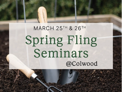 Discover a world of outdoor activities at GARDENWORKS. From gardening workshops to community events, there's something for everyone. Explore now!