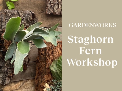 Discover a world of outdoor activities at GARDENWORKS. From gardening workshops to community events, there's something for everyone. Explore now!