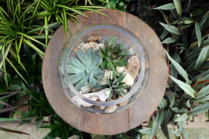 Discover a world of outdoor activities at GARDENWORKS. From gardening workshops to community events, there's something for everyone. Explore now!