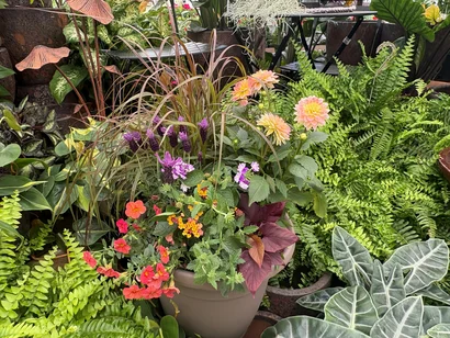 Discover a world of outdoor activities at GARDENWORKS. From gardening workshops to community events, there's something for everyone. Explore now!