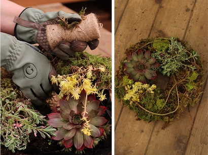 Summer Succulents Moss Wreath Workshop