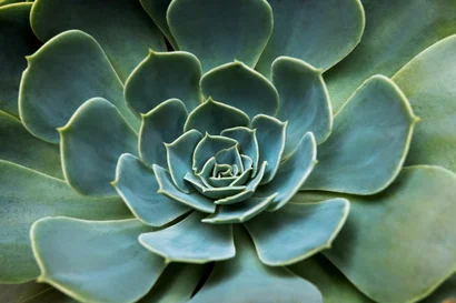 Discover a world of outdoor activities at GARDENWORKS. From gardening workshops to community events, there's something for everyone. Explore now!