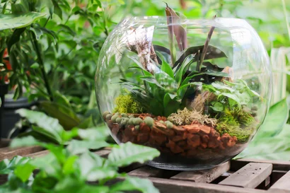 Discover a world of outdoor activities at GARDENWORKS. From gardening workshops to community events, there's something for everyone. Explore now!