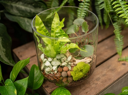 Discover a world of outdoor activities at GARDENWORKS. From gardening workshops to community events, there's something for everyone. Explore now!