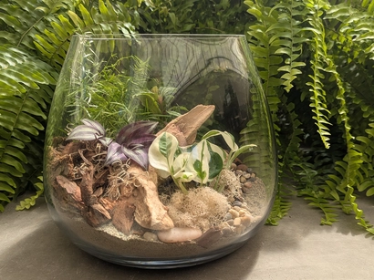 Tropical Terrarium Workshop