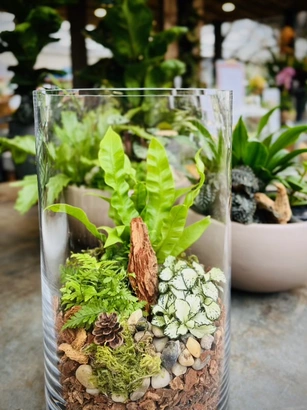 Discover a world of outdoor activities at GARDENWORKS. From gardening workshops to community events, there's something for everyone. Explore now!