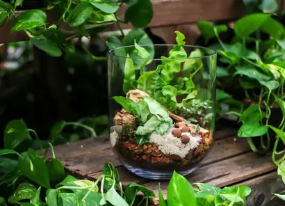 Discover a world of outdoor activities at GARDENWORKS. From gardening workshops to community events, there's something for everyone. Explore now!