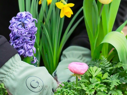 Discover a world of outdoor activities at GARDENWORKS. From gardening workshops to community events, there's something for everyone. Explore now!