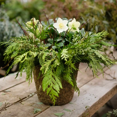 Discover a world of outdoor activities at GARDENWORKS. From gardening workshops to community events, there's something for everyone. Explore now!