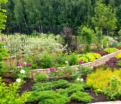 Elements of Garden Design