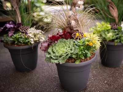 Fall Container Refresh 