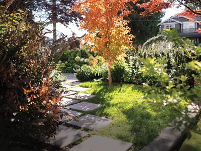 Fall Lawn Care