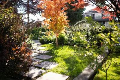 Fall Lawn Care