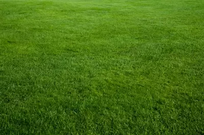 Fall Lawn Care in the Okanagan