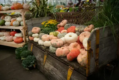 Pumpkins "Oh My Gourd!"