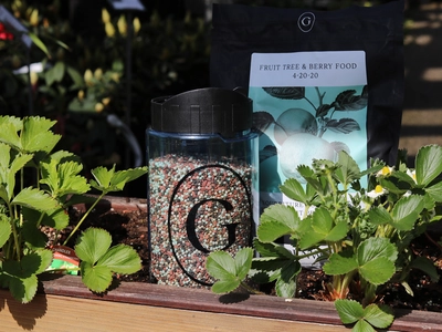 Some of our Favourite Fertilizers