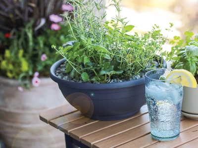 Spring & Summer Herb Planters