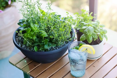 Spring & Summer Herb Planters