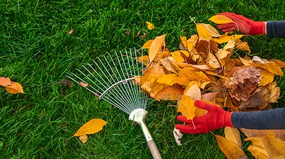 Tools & Tips for a Flourishing Fall Garden