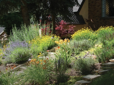 Water Wise Gardening
