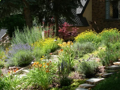 Water Wise Gardening