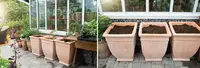 Planters