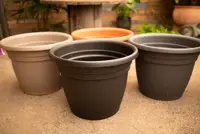 Emma planters