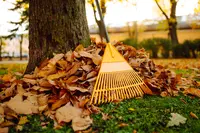 Fall Gardening