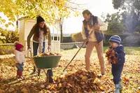 Fall Gardening