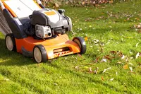 Fall Gardening