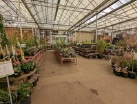 Garden centres