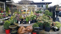 Garden centres