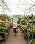 GARDENWORKS shopping