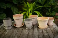 Plant pots