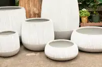 Plant pots