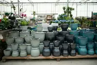 Plant pots