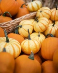 Pumpkins
