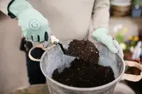 Soils