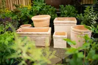 Planters