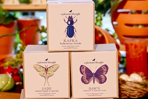A Pleasant Thought Candles